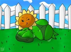 sunflower (pvz) from plants vs zombies by nightwanderer25