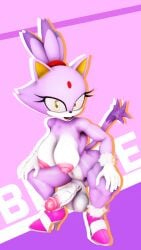 blaze the cat from sega by senna source