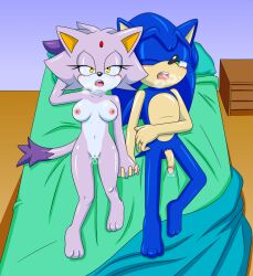 blaze the cat from sega by sonicguru