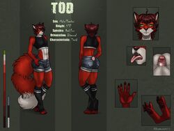 2017 anthro big_tail canine clothing eliana-asato fox fur girly green_eyes humanoid_penis male mammal model_sheet penis red_fox red_fur shorts small_penis tongue