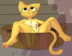 anthro areola bath bluedraggy breasts clitoris feline female katia_managan khajiit mammal nipples nude pink_nose prequel presenting presenting_pussy pussy solo spread_legs spreading the_elder_scrolls video_games