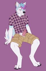 anthro arm_support black_nose blue_eyes blue_fur blue_hair blush canine canine claws clothed clothing ear_piercing eracin erection fur hair humanoid_penis husky inner_ear_fluff looking_down male mammal multicolored_hair penis piercing plaid purple_hair rainbow seth_(sethyhusky) shirt shorts simple_background sitting smile solo two_tone_hair white_fur