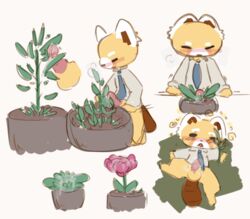 aggressive_retsuko balls black_eyes blush bottomless brown_tail closed_eyes clothed clothing cum flower fur male male_only mammal muniimuni necktie penis plant potted_plant red_panda resasuke shirt sketch smooth_fur solo tan_fur white_ears