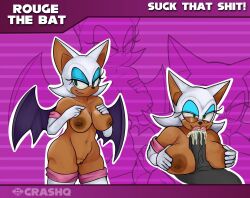 rouge the bat from sega by crashq