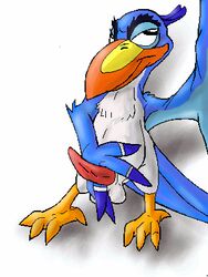 avian bird disney hornbill male_only penis semi-anthro tagme testicles the_lion_king zazu