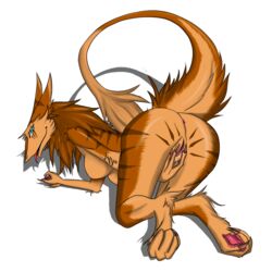 ass feet female furry hi_res horny_(disambiguation) lifted pussy sergal solo t tongue