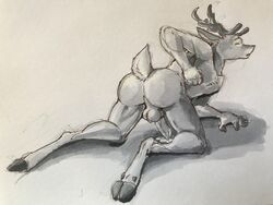 2018 aleron all_fours antlers balls cervine closed_eyes cum hooves horn male male_only mammal nude penis raised_tail sketch solo