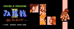 1boy 1girls billy_lee breasts double_dragon double_dragon_ii_(the_revenge) female female_pubic_hair marian_(double_dragon) marian_kelly nude pixel_art pubic_hair