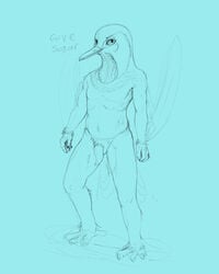 2018 avian beak bird blue_background dialogue hummingbird looking_at_viewer male nude nyar penis simple_background sketch solo talons tapering_penis winged_arms wings