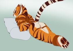 master tigress from kung fu panda by sabrotiger