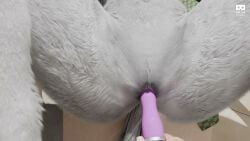 3d animal_ears animated anthro_penetrated canid_demon canine close-up close-up_pussy dildo_in_pussy dildo_penetration first_person_view hellhound human_on_anthro human_on_demon laying_down laying_on_back loona_(helluva_boss) masturbating masturbation moaning pov presenting_pussy pussy_close-up pussy_juice sound sound_effects spreading_legs tagme vagina_close-up vaginal_penetration video vr34studio