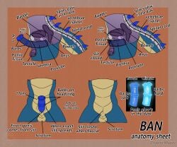 absurd_res agent_ban anatomy_chart animal_genitalia animal_penis anthro backsack balls chaoticmazzy character_name chart dragon_horse english_text equine_genitalia equine_penis genitals glowing glowing_genitalia hi_res male male/male model_sheet organs penile_spines penis solo spikes spikes_(anatomy) text