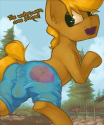 anus balls equine fan_character horse male male_only mammal marsminer mox my_little_pony pony solo wet