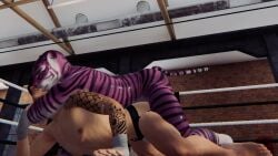 3d 3d_animation 3d_model 3dx anal_sex big_cock big_penis cat_boy cat_humanoid catboy dominant_male domination fighter fighting fighting_ring furry furry_gay furry_male furry_only game gameplay gay gay_anal gay_domination gay_sex male muscles muscular muscular_furry muscular_male penis screenshot