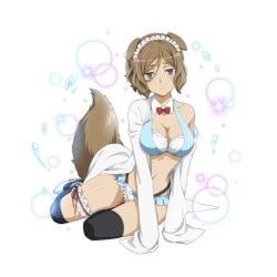 1girls alternate_costume bowtie bra brown_hair danmemo demihuman dog_ears dog_tail dungeon_ni_deai_wo_motomeru_no_wa_machigatteiru_darou_ka female_focus female_only kemonomimi large_tail long_sleeve_shirt naaza_(danmachi) naaza_erisuis official_art smile thigh_socks transparent_background