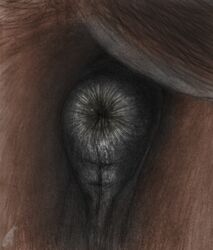 ambiguous_gender anatomically_correct anatomically_correct_anus anus ass black_anus darkmare equine equine_anus feral horse mammal puffy_anus solo