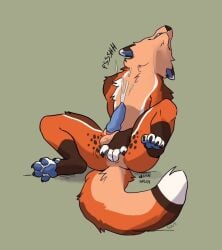 anal anal_fingering anal_masturbation animal_genitalia animal_penis anthro archie_(thearchiefox) balls bent_legs bodily_fluids canid canine canine_genitalia canine_penis cum cum_while_penetrated fingering fluffy fluffy_tail fox genital_fluids genitals krakencalamari male mammal masturbation pawpads penetration penis sitting solo spread_legs spreading tail