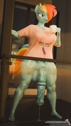 3d_(artwork) 4k 9:16 absurd_res animal_genitalia animal_penis anthro apartment bodily_fluids bottomless clothed clothing coffee_mug cum digital_media_(artwork) english_text equid equine equine_genitalia equine_penis flaccid friendship_is_magic genital_fluids genitals gynomorph hasbro hi_res hungover intersex leaking_cum mammal my_little_pony penis rainbow_dash_(mlp) screwingwithsfm solo standing text topwear topwear_only url window