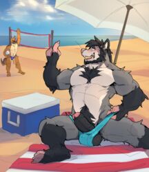 anthro athletic balls beach canine clothing erection male male_only mammal mostly_nude muscular penis public rat rodent seaside speedo swimsuit uncut underwear zangusuu