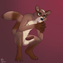 1:1 anthro ass balls blush brown_body erection fur genitals hair hi_res male mammal nipples nude overunder penis procyonid raccoon simple_background smile solo tail text