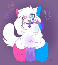 crystal_(kittydogcrystal) furry furry_only kittydogcrystal pleased pleased_expression vaginal_penetration