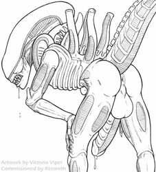 2011 alien alien_(franchise) anus ass backsack bent_over butt drooling h.r._giger hands_on_knees huge_balls huge_cock male male_only male_xenomorph pencil_(artwork) perineal_raphe precum_drip presenting presenting_anus presenting_hindquarters presenting_penis raised_tail rezanith salivating sharp_teeth solo traditional_media_(artwork) victoria_viper xenomorph