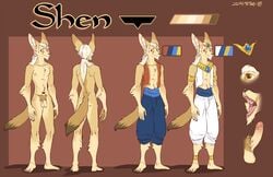 canine clothed clothing erection fennec fox hair male mammal mature_male model_sheet nude open_mouth penis pubes shen_(zummeng) white_hair zummeng