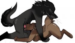 1boy 1girls 2018 all_fours anthro anthro_on_anthro black_fur black_nose breasts brown_fur canine closed_eyes deep_throat deepthroat duo fellatio female fur furry grey_fur kneeling knot male male_penetrating mammal oral oral_penetration oral_sex penetration penis sex simple_background songgoishtar straight tongue tongue_out whiskers white_background wolf