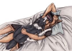 2023 ambiguous_gender anthro anthro_on_feral bed black_body black_fur border_collie canid canine canis closed_eyes collie dated domestic_dog duo fangs feral fur furniture german_shepherd herding_dog kola_(artist) lying male male/ambiguous mammal nude on_back on_bed open_mouth orange_body orange_eyes orange_fur pastoral_dog pink_tongue sheepdog teeth tongue tongue_out white_body white_fur