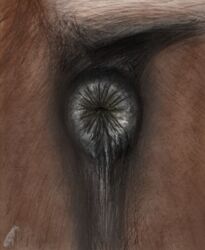 2018 anatomically_correct anatomically_correct_anus anus ass black_anus brown_fur butt close-up darkmare equine equine_anus feral fur horse male mammal puffy_anus solo