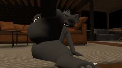 black_fur canine couch dark_fur fat_ass femboy furry hand_on_thigh inviting_to_sex male mrhighvoice on_floor one_leg_up open_legs regulus_(species) smiling spread_legs table thick_ass vrchat