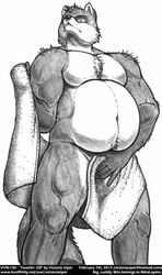 1boy 2012 chubby deep_navel drying email furry low-angle_view male male_only mikalapine monochrome musclegut muscular pencil_(artwork) pinky_out raccoon shaded teasing towel towel_around_waist traditional_media_(artwork) victoria_viper wes_(mikalapine)