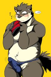 1boy 2017 anthro bearlovestiger13 black_nose blue_underwear blush bulge canine closed_eyes clothing erection erection_under_clothes fundoshi japanese_clothing male male_only mammal moritaka red_underwear simple_background solo tokyo_afterschool_summoners underwear yellow_background