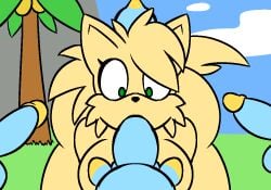 1girls 2d 2d_animation 4boys 4boys1girl animated anthro anthro_female chao_(sonic) female female_penetrated gif green_eyes happy jase1505 male male/female male_penetrating no_humans non-human non-human_only oc oral oral_penetration pussy rule_63 smile sonic_(series) sonic_adventure_2 tails tailsko vaginal_penetration waiting waiting_for_sex waiting_for_turn
