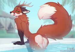 anthro antlers ass backsack balls bedroom_eyes big_tail butt_heart canid canine danomil dipstick_tail fluffy fluffy_tail fox genitals horn licking licking_lips looking_at_viewer looking_back looking_back_at_viewer male mammal markings narrowed_eyes nude only_male partially_submerged seductive solo swimming_pool tail tail_markings tongue tongue_out water wet