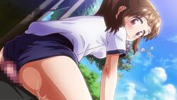 animated ass big_breasts blush breasts brown_hair buruma buttjob censored erection gym_uniform kate_sai outdoors penis red_eyes rubbing shiny shiny_skin sweat teenage_girl teenager tree young younger_female しすこん!_-sister_compact