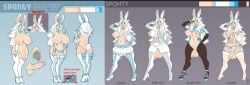 bodysuit breasts bunnysuit cait character_sheet dysa futanari futanari_focus lingerie lowres rabbit_ears rabbit_girl reference_image reference_sheet sponty