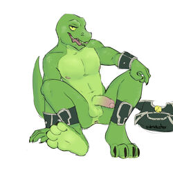 4_toes 5_fingers anthro anus ass balls diamobster digital_media_(artwork) erection green_scales humanoid_penis looking_at_viewer male nintendo nipples nude open_mouth paws penis reptile scales scalie sharp_claws simple_background solo testicles toes uncensored uncut video_games yellow_sclera