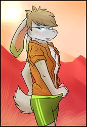 blush captainzepto clothing eyewear glasses lagomorph looking_at_viewer male male_only mammal penis rabbit shirt shorts solo stan_luckbun undressing