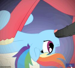 animated big_macintosh_(mlp) deepthroat facefuck fellatio friendship_is_magic my_little_pony oral penis rainbow_dash_(mlp) smooth_skin tentacle-muffins throat_bulge throat_swabbing