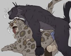 anal anal_sex anthro balls digital_drawing_(artwork) digital_media_(artwork) dreamworks duo fangs genitals hi_res ksejl kung_fu_panda male male/male muscular muscular_anthro muscular_male penetration simple_background tai_lung_(kung_fu_panda) tail teeth tongue tongue_out white_background