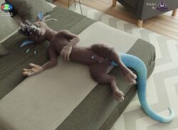 3_toes 3d_(artwork) 4_fingers animal_genitalia anthro anus arthropod balls barbel_(anatomy) bed bedroom blender_(artwork) blue_penis blue_tail claws closed_eyes countershading digital_media_(artwork) dragon english_text feet fingers flye fur furniture genitals gloves_(marking) hair hi_res hybrid kangaroo macropod male mammal markings marsupial mouth_closed mythological_creature mythological_scalie mythology neonwabbit nude pawpads penis pink_pawpads purple_body purple_fur retracted_sheath rockyrcoon scales scalie sheath sleeping smile solo spiky_hair tail text toes watermark