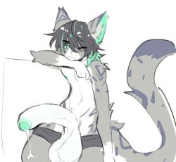 animal_humanoid anthro balls big_penis cock cum cum_drip fur furry furry_ears furry_male furry_only furry_tail huge_balls huge_cock huge_cock humanoid_penis large_balls large_penis male male_anthro male_only penis shiyaa_stuff