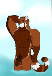 ailurid angel_woolfy anthro bear furry genitals giant_panda hi_res male mammal muscular muscular_male nude_anthro nude_male partially_submerged penis red_panda solo