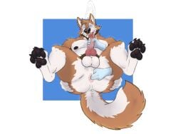 4:3 anal anal_sex animal_genitalia animal_penis anthro anus ass balls beard belly big_balls big_butt bodily_fluids body_hair butt_grab canid canine canine_genitalia canine_penis canis cum cum_drip cum_on_face cum_on_penis cumshot disembodied_hand domestic_dog dripping ejaculation facial_hair fingering front_view genital_fluids genitals ghost_hand hand_on_butt hi_res humanoid_genitalia humanoid_penis husky huskyralvar hybrid_genitalia hybrid_penis knot knotted_humanoid_penis knotted_penis lying male mammal nipples nordic_sled_dog on_back pawpads paws penetration penis piercing ralvar saggy_balls sheath slightly_chubby solo spitz tail tongue tongue_out