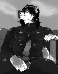 Arber (Oshaviolation) Rule 34 Image