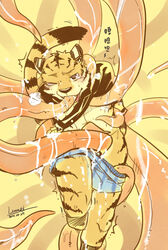 1boy 2014 anthro black_nose blue_underwear chang52084 chinese_text clothing feline fur gay male male_only mammal one_eye_closed striped_fur striped_tail stripes tentacle text tiger underwear yaoi