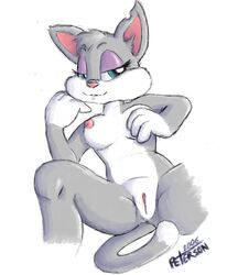 2006 animaniacs anthro breasts cat color feline female female_only front_view fur furry furry_only grey_fur nipples nude rita_(animaniacs) rita_and_runt solo tagme vulva white_fur