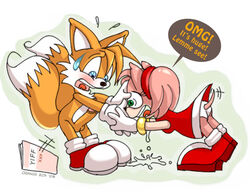 2006 amy_rose anthro female funny fur furry_tail hedgehog male multi_tail orange_box penis sega sonic_(series) sonic_the_hedgehog_(series) straight straight_hair tail tails