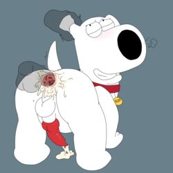 2018 anal anal_sex ass backsack balls blush brian_griffin canine cum cum_in_ass cum_inside erection family_guy feral fur knot magzol male mammal open_mouth orgasm penetration penis semi-anthro sex simple_background smile tongue white_balls yaoi zoophilia